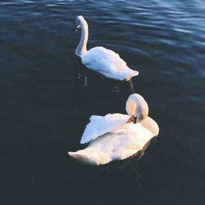 电子mg官方网站 