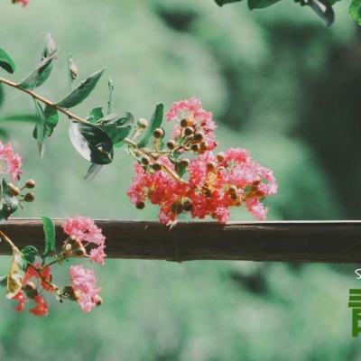 澳门威斯尼斯WNS888入口手机app下载