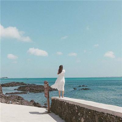 新宝十大登录平台