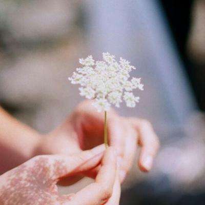 凤凰彩票app下载